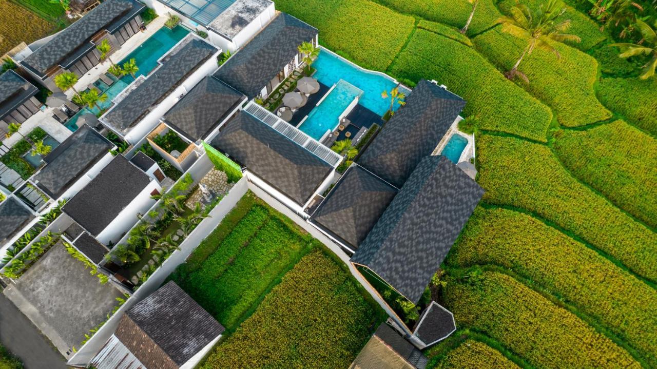 Villa Mia By Balisuperhost Ubud Dış mekan fotoğraf