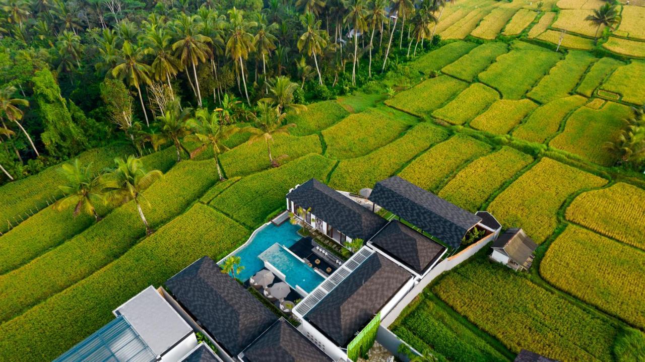 Villa Mia By Balisuperhost Ubud Dış mekan fotoğraf